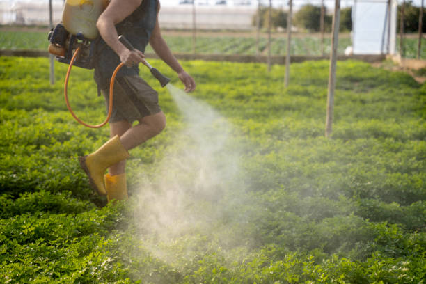 Best Ant Control Services  in Chillicothe, OH