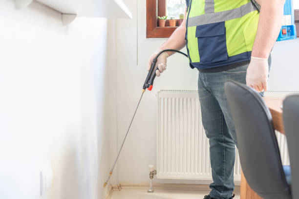 Best Rat Extermination Near Me  in Chillicothe, OH