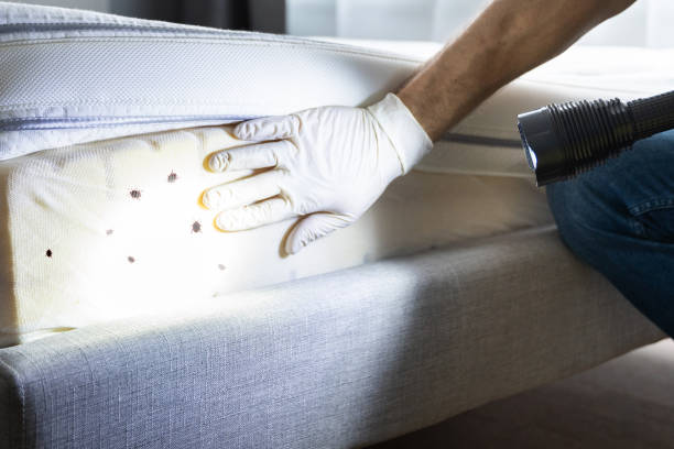 Best Pest Inspection Near Me  in Chillicothe, OH