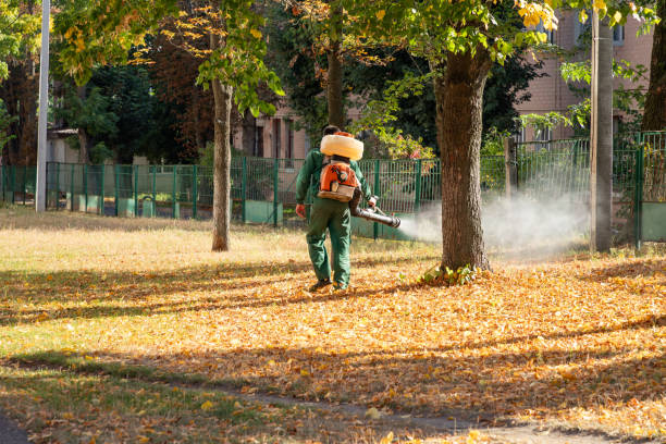 Best Wasp Removal Services  in Chillicothe, OH